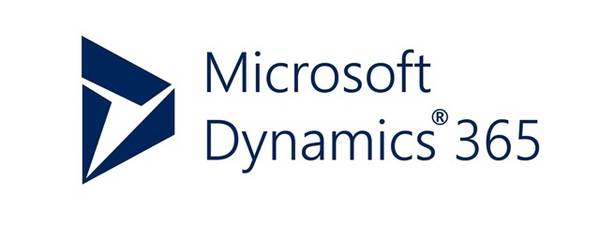 Microsoft Dynamics as ERP system for your company - set-up, optimization and interface