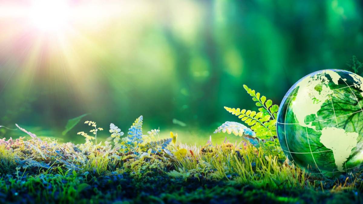 Concept development for more sustainability in your company - sustainability as an economic success factor and growth driver