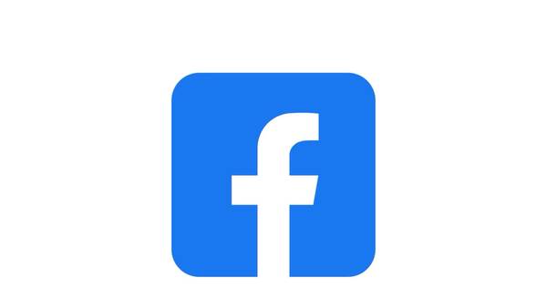 Facebook - pioneer of the social media age