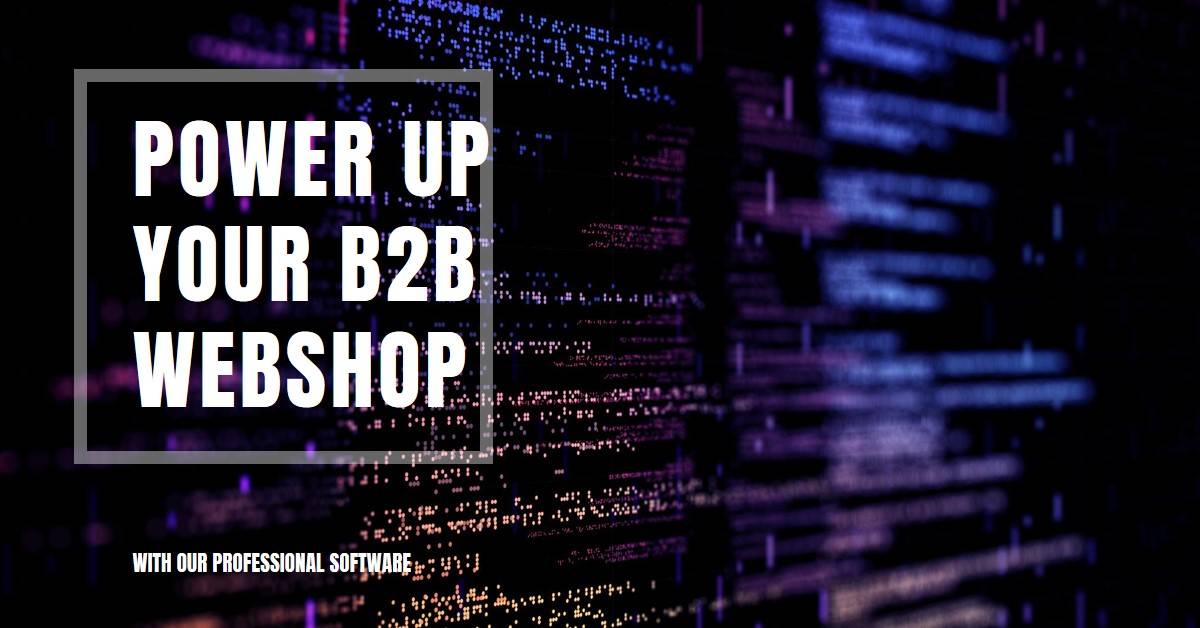 Welche Software eignet sich am besten für einen B2B Online Shop?